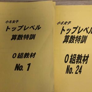 浜学園　小6女子トップレベル特訓　0組教材　17種類　2022年度最新版