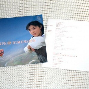 国内初出 廃盤 Momoko Kikuchi 菊池桃子 Escape From Dimension / 富樫春生 今剛 松原正樹 山田英俊 藤田浩一 山木秀夫 等 VAP 80036-32