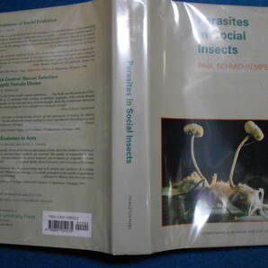 即決　昆虫学、Incect　1998年『社会性昆虫の寄生者　Parasites in Social Insects』ハチ目、膜翅目、生態、スズメバチ、アシナガバチ
