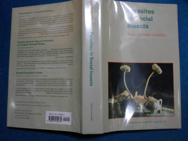 即決　昆虫学、Incect　1998年『社会性昆虫の寄生者　Parasites in Social Insects』ハチ目、膜翅目、生態、スズメバチ、アシナガバチ