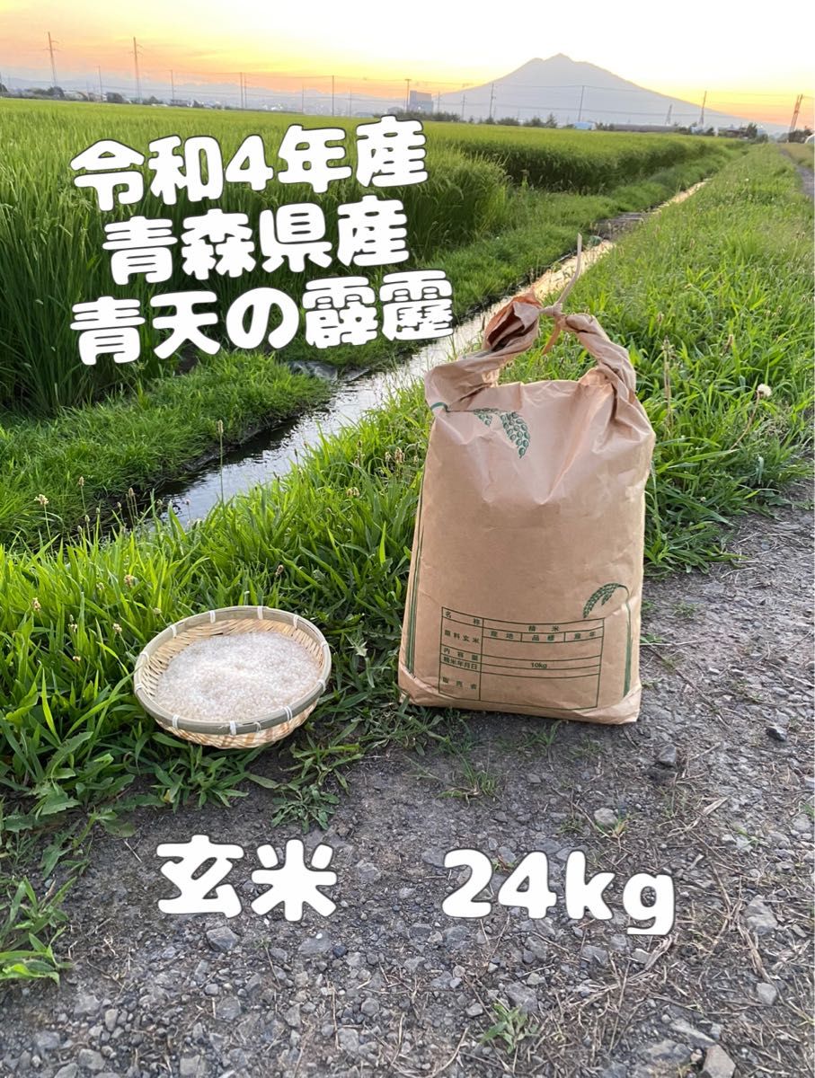 新米】ゆめぴりか 玄米20kg お米 ブランド米 農家直送 特A米 | www