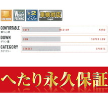 TANABE NF210ダウンサス前後セット ZRR85GエスクァイアGiプレムアムパッケージ 14/10～_画像3