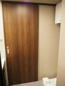 FP-20 モデルルーム展示品 日本フラッシュ　室内ドア　洗面引き戸　枠・ロック付き