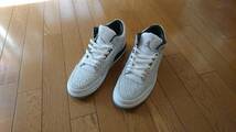 Nike Air Jordan 3 Retro FLIP 〔デッドストック〕27.5cm_画像4