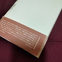 生き方としてのヨガ　龍村　修　　人文書院　帯付き美品　270ページ　2012年3月発行　ヨガ　精神　_画像5