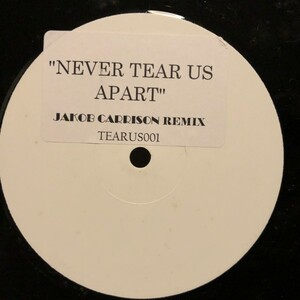 INXS / Never Tear Us Apart (Jakob Carrison Remix)