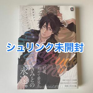 鈴丸みんた　キューピッドに落雷　追撃　絶版本