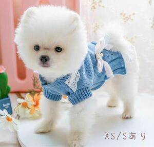 【SALE】犬服*ノースリーブワンピ　レースがかわいい　XS S ペット　水色　