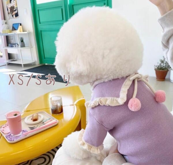 【SALE】犬服*カットソー　襟袖フリル　XS S ペット服