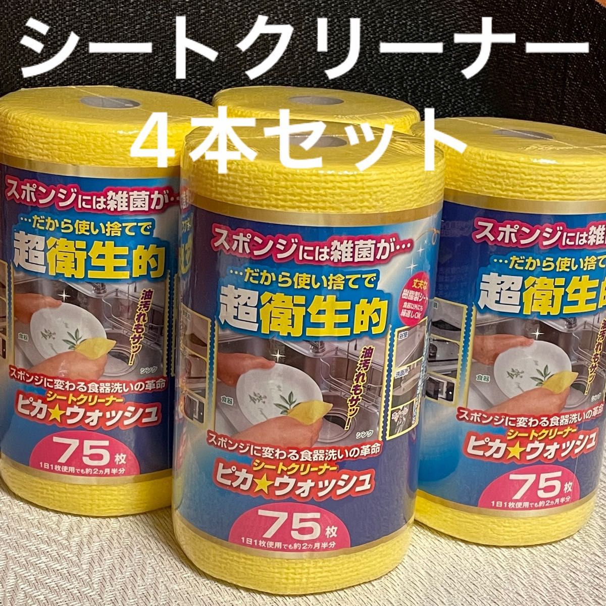 新品 未開封 山善 電動掃除ブラシ ハンディフローマジック 通販 フローマジック Froo Magic 風呂掃除 バスポリッシャー 充電式 コードレス 電動 バスクリーナー YMF-5 ポリッシャー 風呂 バス 浴室 浴槽 ブラシ デッキブラシ 山善 YAMAZEN