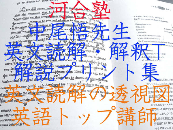 河合塾　中尾悟先生　偶数年　英文解釈T・英文読解演習T　基礎・完成プリント　英文読解の透視図 駿台 鉄緑会 東進 Z会 共通テスト　SEG