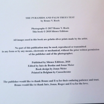 ブルーノ・V・ロエルズ 写真集■美術手帖 デザイン コラージュ parkett art review IMA THE PYRAMIDS AND PALM TREES TEST Bruno V.Roels_画像5