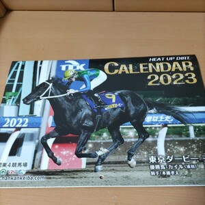 カレンダー　競馬　ノベルティ　コレクション　ウマ娘　大井競馬場　南関東4競馬場　未使用　2023年カレンダー　非売品　