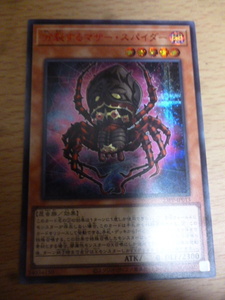 遊戯王 分裂するマザー スパイダー シークレットレア SPECIAL RED Ver.