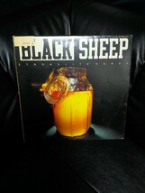 BLACK SHEEP - STROBELITE HONEY【12inch】1992' Us Original_画像1