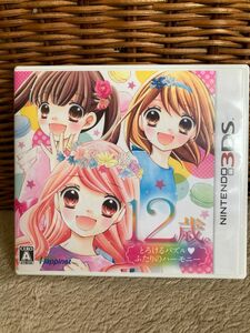 ３ＤＳソフト　12歳