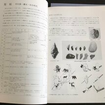 2冊セット『群馬県立博物館 総合案内』『群馬県立歴史博物館　常設展示解説』_画像3