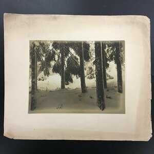  Okamoto Orient print work [ large Japanese cedar. snow ]en Boss entering photograph 276x210mm cardboard 360x420mm