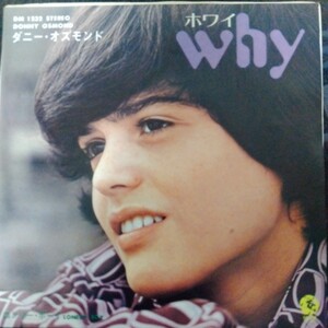 ダニー　オズモンド　donny osmond ホワイ　why 72年　ep 7inch オズモンド　ブラザーズ　osmond brothers 