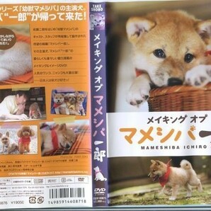 ●A0768 R中古DVD「ドラマ 幼獣マメシバ+映画版+マメシバ一郎from幼獣マメシバ+メイキングオブマメシバ一郎」6巻セット ケース無レンタル落の画像3