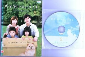 ●A1619 R中古DVD「犬を飼うということ ～スカイと我が家の180日～」全5巻 ケース無　 レンタル落ち 錦戸亮/水川あさみ