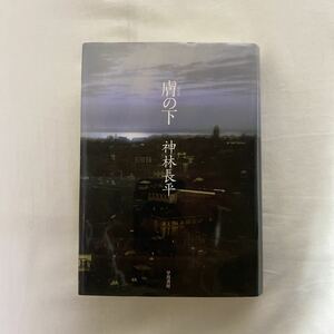 .. внизу старая книга первая версия Kanbayashi Chohei . река книжный магазин 