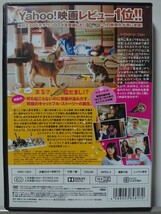 ねこあつめの家 DVD/伊藤淳史 忽那汐里 田口トモロヲ 木村多江 大久保佳代子_画像2