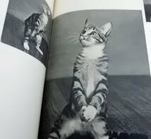 『CATS』キャッツ YLLA イーラ（原書）■猫■ネコ写真の教科書■写真家：Ylla（1911～1955年）■中古■230304 1132＋_画像9
