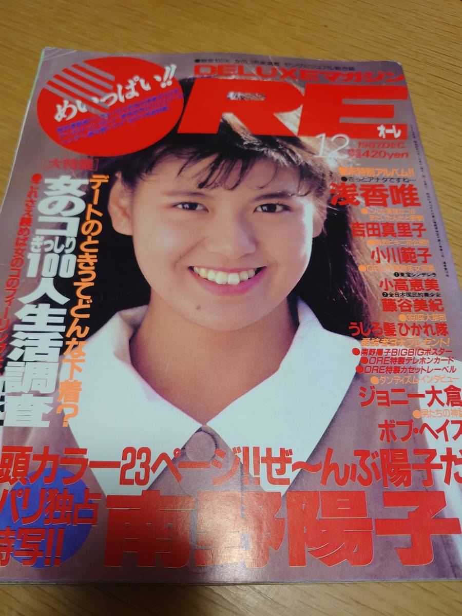 ヤフオク! -南野陽子(アイドル、芸能人)の中古品・新品・古本一覧