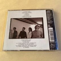 THE BOOM 1CD「FACELESS MAN」_画像2