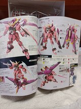 未組立 ZGMF-X19A インフィニットジャスティスガンダム （1/144スケール HG GUNDAM SEED 32 機動戦士ガンダムSEED DESTINY 0134109）_画像3