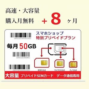 毎月50GB★Softbank プリペイド データSIM★購入月無料+ 8ヶ月 prepaid sim card