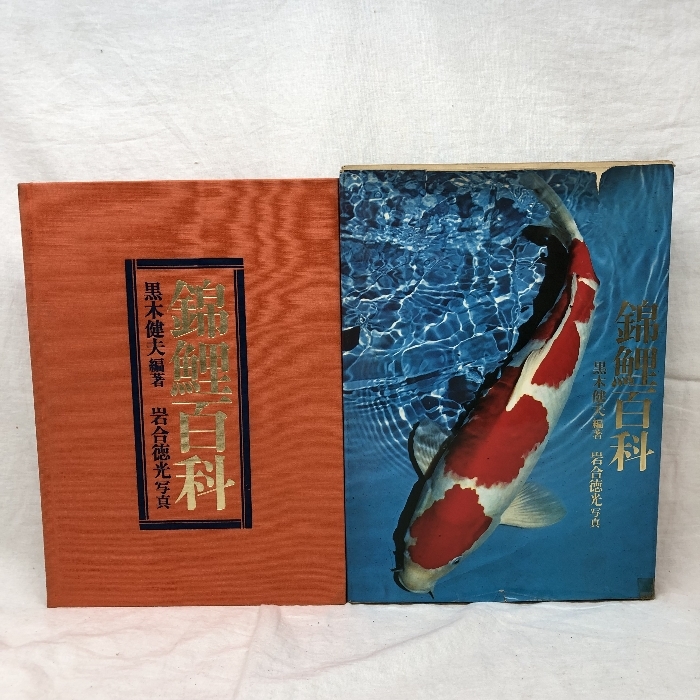 鱗光｜定期購読で送料無料 - 雑誌のFujisan