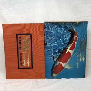 [ used ] colored carp various subjects black tree . Hara compilation work rock . virtue light photograph 1971 year .. company 