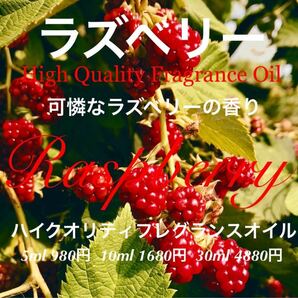 ☆ハイクオリティフレグランスオイル☆【可憐なラズベリーの香り】ラズベリー10ml(他容量対応可)