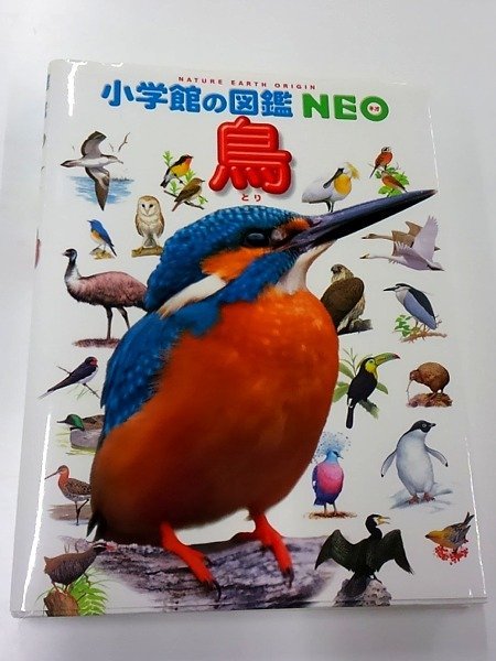 ♪小学館の図鑑NEO もっとくらべる図鑑鳥2冊セット現状品♪中| JChere