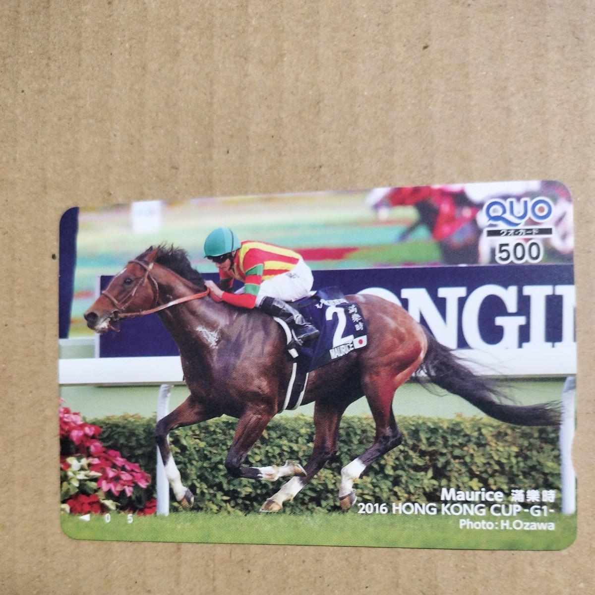 超特価sale開催】 競馬カード モーリス その他 - education.semel.ucla.edu