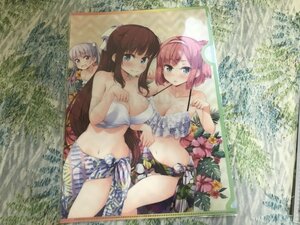 143クリアファイル　NEW GAME!　水着　とらのあな特典　望月紅葉　青葉　ひふみ