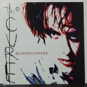 THE CURE / BLOODFLOWERS /ピンナップ!!の画像1