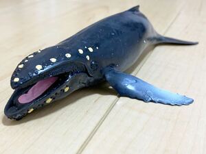 新品 くじら&Co. WHALES&Co. ビッグ ザトウクジラ くじら フィギュア デアゴスティーニ ホエール 海の生き物 ブックレット付き