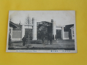 戦前絵葉書。１００年前の日本。帝国大学正門。安田講堂竣工以前（東京名所）