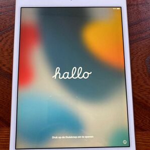 Apple iPad mini 4 Wi-Fiモデル