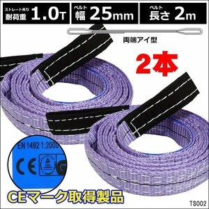 CE規格品 ナイロンベルトスリング 25mm×2m ストレート吊1T【2本セット】両端アイ型/21