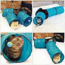キャティーマン 猫トンネル色違い2個セット ペット遊宅 コネクトンネル ブルー、ピンク。2個セット 新品 送料無料 格安 最安値_画像3