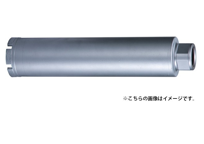 2023年最新】Yahoo!オークション -コアビット 100の中古品・新品・未