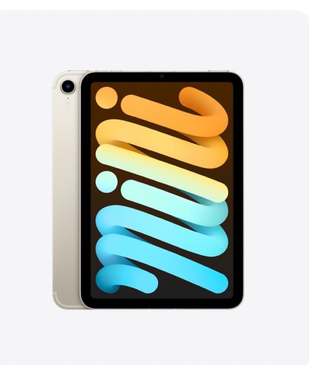 激安人気新品 12.9インチ Pro 【未開封新品】iPad スペースグレイ mini