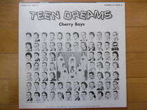 レア激安即決!1977年LPチェリー・ボーイズCHERRY BOYS/TEEN DREAMS/大チャンス買時!_画像2