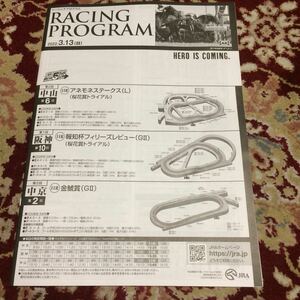 JRAレーシングプログラム2022.3.13（日）金鯱賞（GⅡ）、フィリーズレビュー（GⅡ）、アネモネステークス（L）
