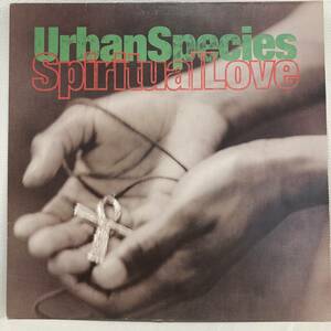 Urban Species - Spiritual Love 12 INCH