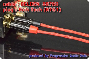 □□ BELDEN 88760＋RCA Gp_plug（RTG1）/0.30m×2本